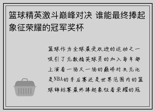 篮球精英激斗巅峰对决 谁能最终捧起象征荣耀的冠军奖杯