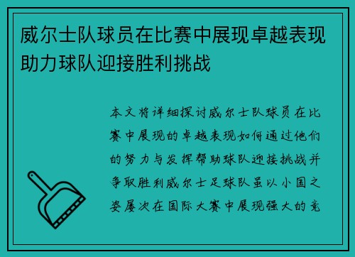 威尔士队球员在比赛中展现卓越表现助力球队迎接胜利挑战