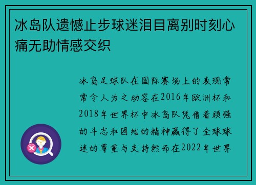 冰岛队遗憾止步球迷泪目离别时刻心痛无助情感交织