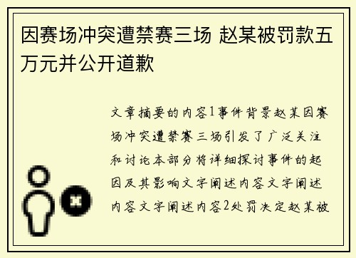 因赛场冲突遭禁赛三场 赵某被罚款五万元并公开道歉
