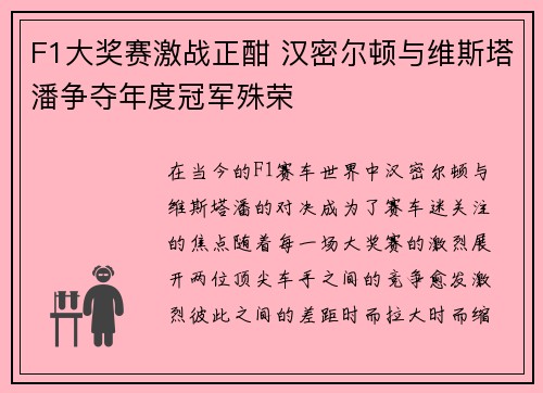 F1大奖赛激战正酣 汉密尔顿与维斯塔潘争夺年度冠军殊荣